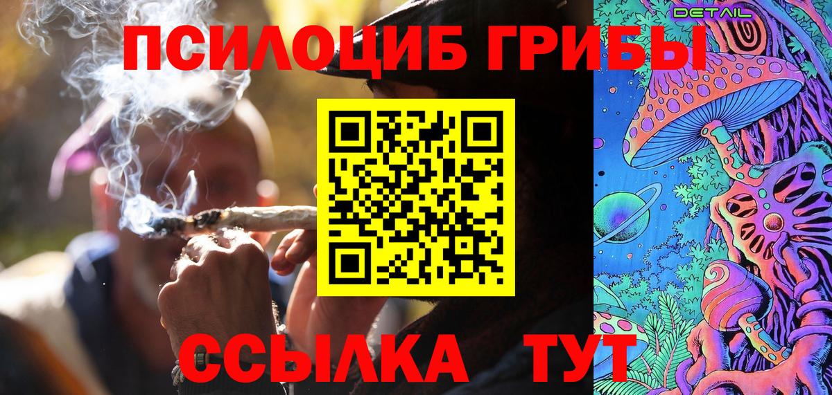 Псилоцибиновые грибы мицелий  Казань 