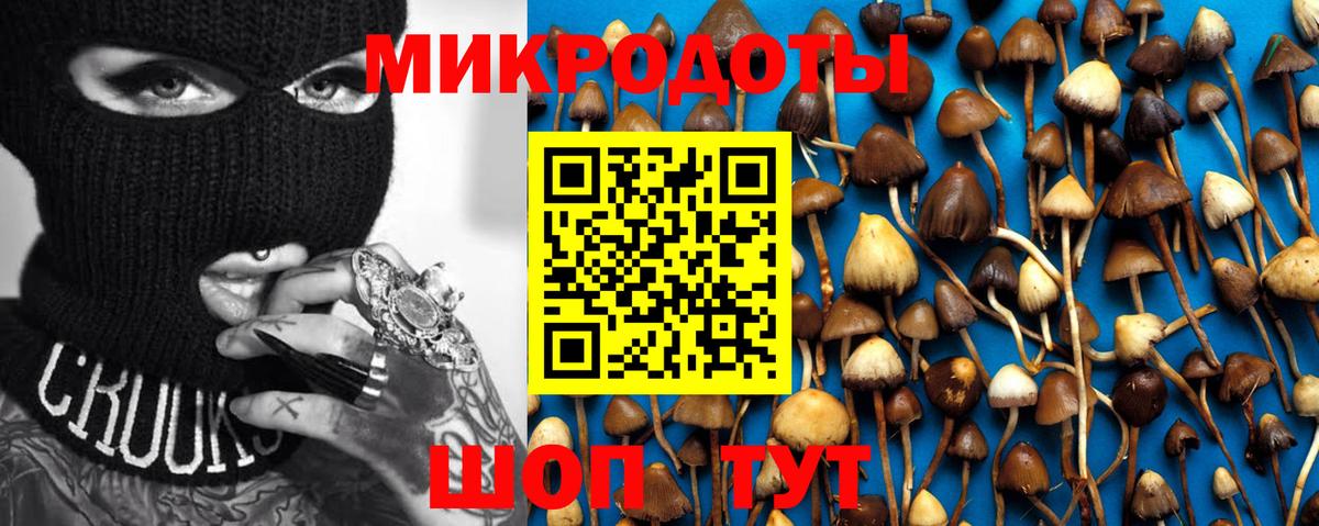 купить наркотик  Псилоцибиновые грибы ЛСД  Вход с VPN  Казань 