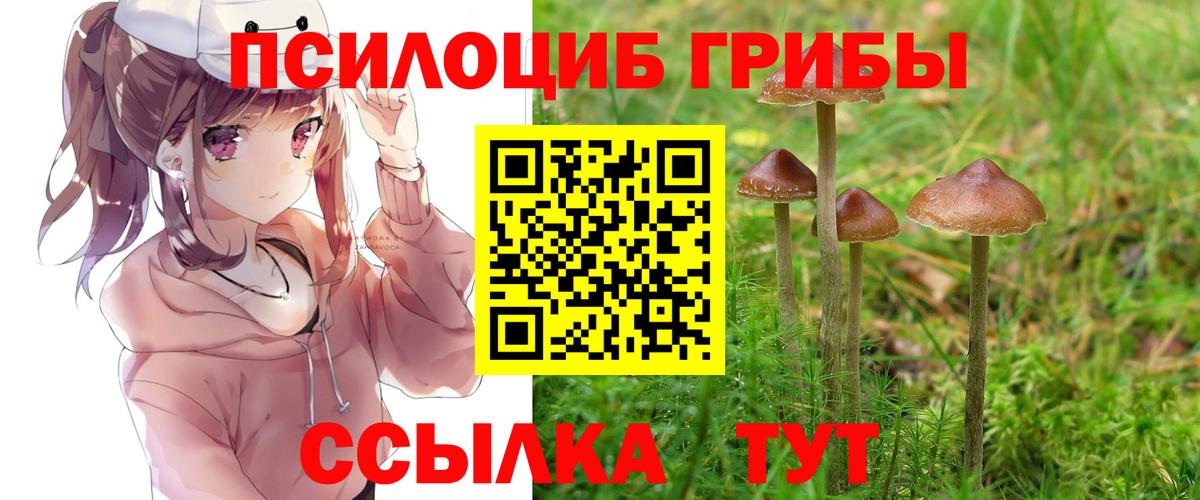 Галлюциногенные грибы прущие грибы Казань