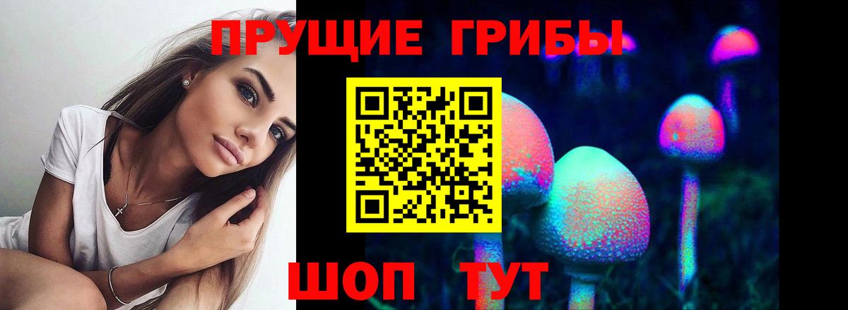 Галлюциногенные грибы прущие грибы Казань