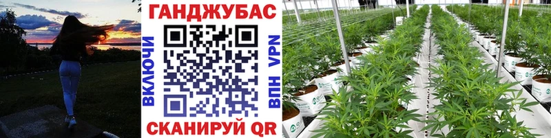 МАРИХУАНА THC 21%  цена   Казань 