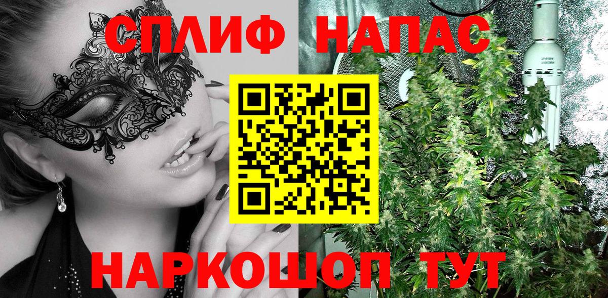 Каннабис сатива  Бошки Шишки планчик  Вход с VPN  Бошки марихуана Bruce Banner  Шишки марихуана Bruce Banner  Казань 